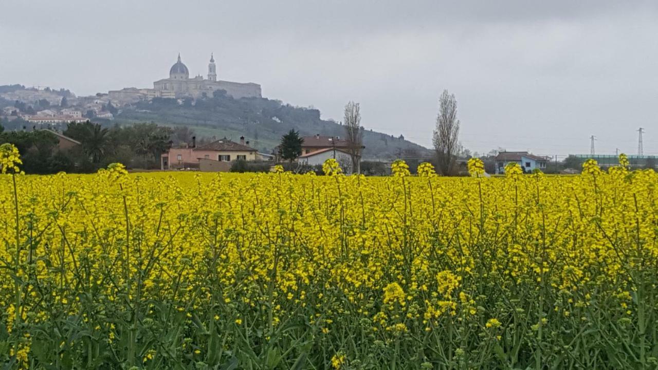 Villetta Del Conero Porto Recanati Exterior foto